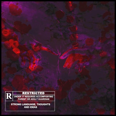 Marti Vs Marti - Single