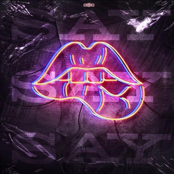 Say Say Say (feat. Chelly Jane, Kaceylynn Vaughn, J. Anders & Jay Walkr)