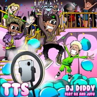 TTS - Single - DJ Diddy, Jufu & Lucas Stadvec