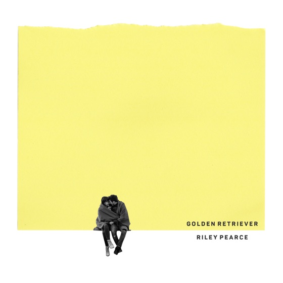 Cover artwork for Golden Retriever
