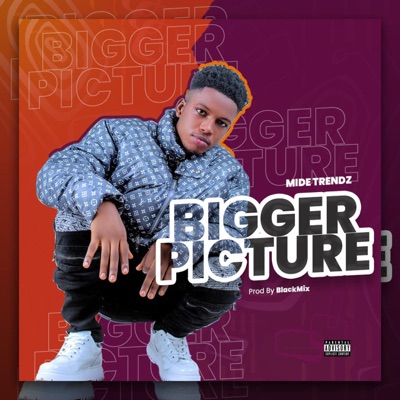 Bigger Picture - Single