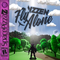 Fly Alone - Single - Vizzen