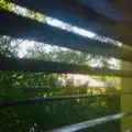 So Beautiful