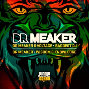 Baddest DJ / Wisdom & Knowledge - Single