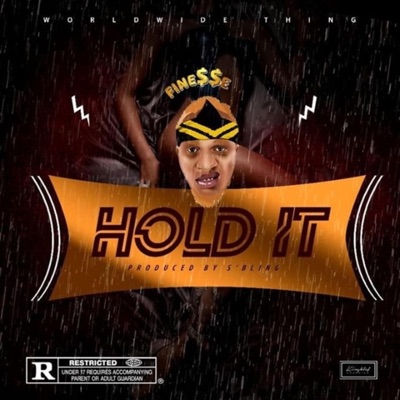 Hold It - Single