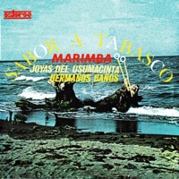 Chontaleamelo mi vida