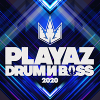 Various Artists - Playaz Drum & Bass 2020 artwork