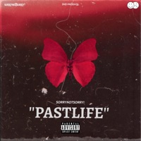 PastLife! - Single - Sorrynotsorry!