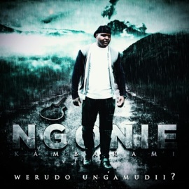 Ruregerero (feat. Shinsoman) Ngonie Kambarami