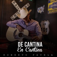 De Cantina en Cantina - Single - Roberto Favela