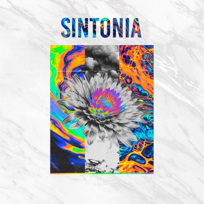 Sintonia - Single