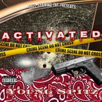 Activated - Single - Young Spitz