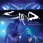 Staind - Something to Remind You (Live)