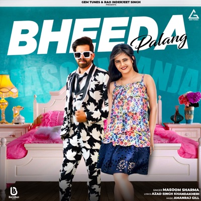 Bheeda Palang (feat. Anjali Raghav) - Single