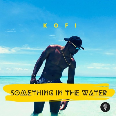 Something In the Water - Single