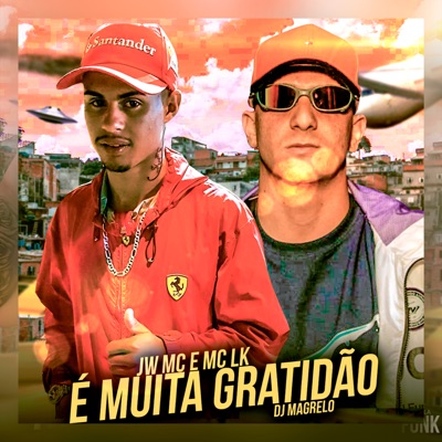 É Muita Gratidão - Single