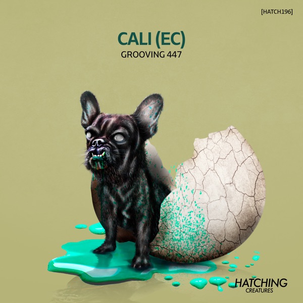 Grooving 447 - Single
