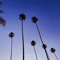 Where You Are (feat. Jonum) - Single - Kaze