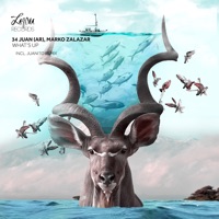 Whats Up - EP - Juan (AR) & Marko Zalazar