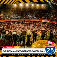 En Vivo Teatro Caupolicán - Gondwana