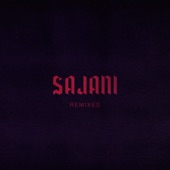 Sajani (feat. Ben Parag) [Tone Troy Remix] artwork