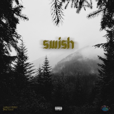Swish (feat. Tru Blacc) - Single
