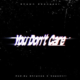 You Don't Care Shawn Ebenezer