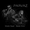 Parvaz (feat. Babak Amini) artwork