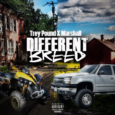 Different Breed - EP