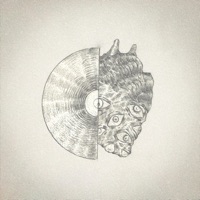 Amore Negativo - Single - Endri