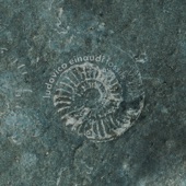 Fossils artwork