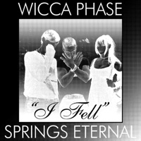 I Fell (Darby Allin AEW Theme) - Single - Wicca Phase Springs Eternal