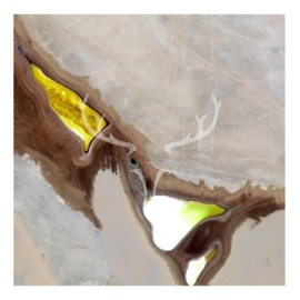 Kinetic Paark & Elozi