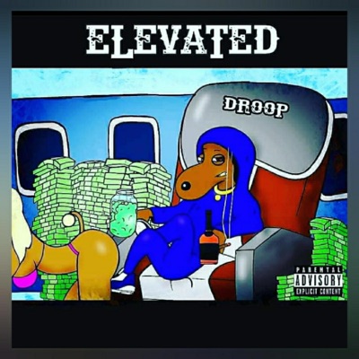ELEVATED