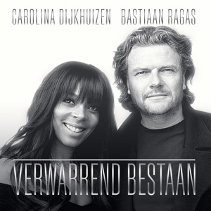 Verwarrend Bestaan (feat. Carolina Dijkhuizen)