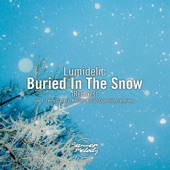 Buried in the Snow (Terry Gaters Remix) artwork