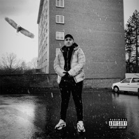 Salis - Single - Krypto