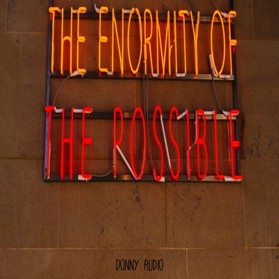 The Enormity of the Possible - Single