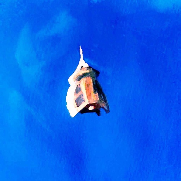 languid.Oceans