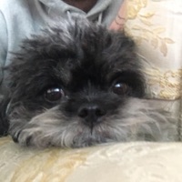 Ireland - Single - Caleb Stone