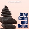 Stay Calm and Relax - 20 Sounds to Sleep To