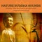 Asian Zen Spa Music Meditation - Kistaro & Tranquil Music Sound of Nature lyrics