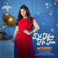 Dil Mein Ho Tum