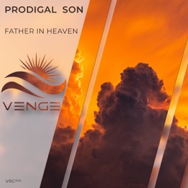 Father in Heaven Prodigal Son