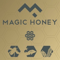 Magic Honey - Single - Sargentorap