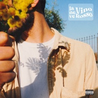 Vino rosso - Single - Laneve