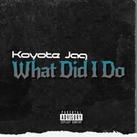 What Did I Do - Single - Koyote Jag