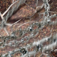 I Thought You Already Knew - Single - Soudiere & Dj Smokey