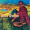 Excuse Me (I Think I've Got a Heartache) - Buck Owens lyrics
