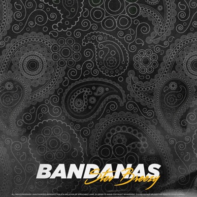 Bandanas - Single